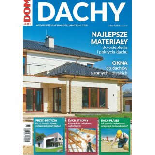 Dachy; Ładny Dom WS 2/2019
