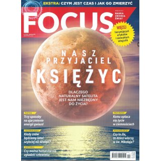 Focus; 12/2021; 313