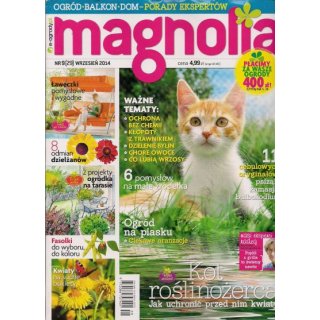 Magnolia; 9/2014