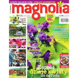 Magnolia; 7/2015