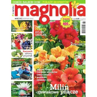 Magnolia; 8/2015