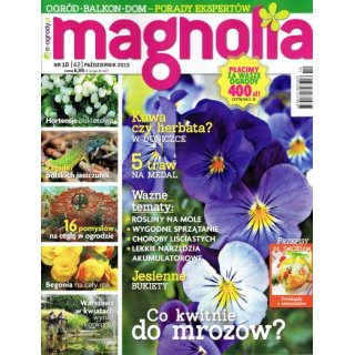 Magnolia; 10/2015