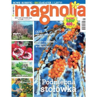 Magnolia; 1/2016