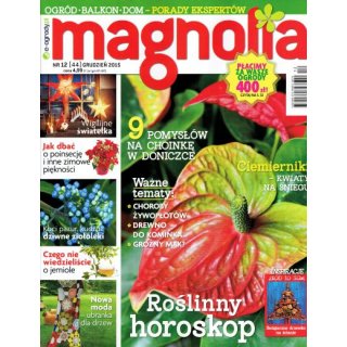 Magnolia; 12/2015
