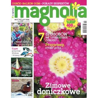 Magnolia; 2/2016
