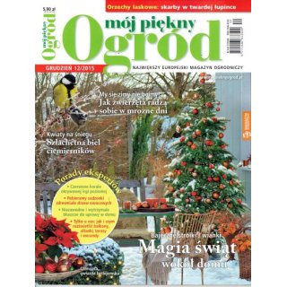 Mój Piękny Ogród; 12/2015