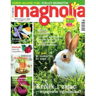 Magnolia; 3/2016