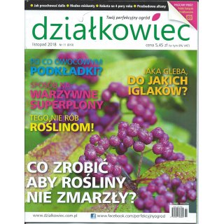 Działkowiec; 11/2018; 819
