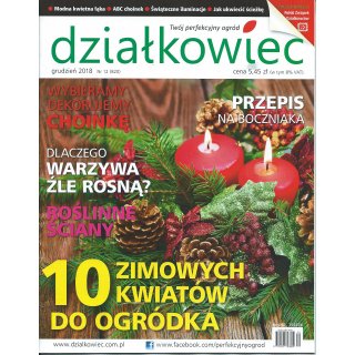 Działkowiec; 12/2018; 820