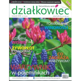 Działkowiec; 4/2019; 824