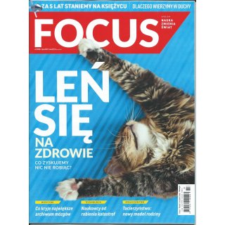 Focus 7/2019