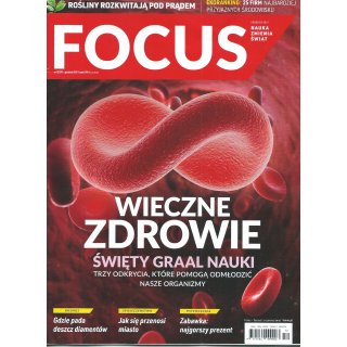 Focus 12/2019