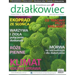 Działkowiec; 11/2020; 843