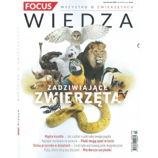 Focus Wiedza; 3/2020