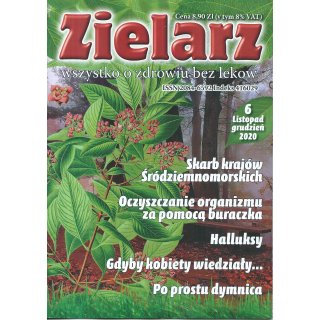 Zielarz; 6/2020
