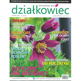 Działkowiec; 3/2021; 847
