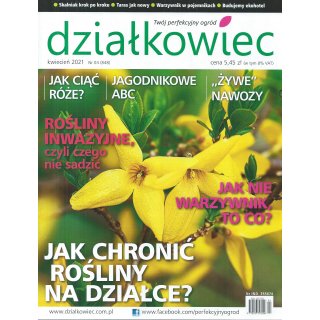 Działkowiec; 4/2021; 848