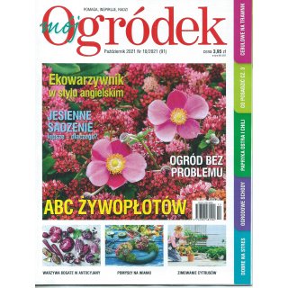 Mój Ogródek; 10/2021; 91
