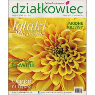 Działkowiec; 11/2013