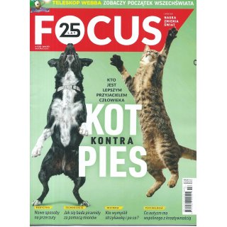 Focus; 7/2021; 309