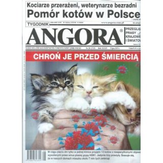 Angora 28/2023