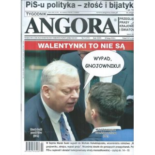 Angora 7/2024