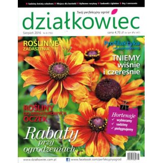 Działkowiec; 8/2016