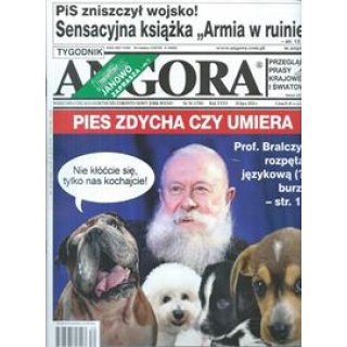 Angora 30/2024