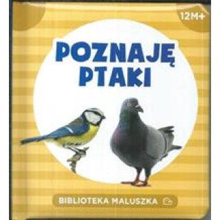 Poznaję ptaki. Biblioteczka maluszka, seria: Pianki dla dzieci 1-3 lata