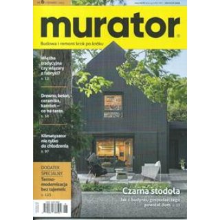 Murator 6/2025 nr 494