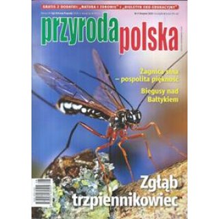 Przyroda Polska sierpień nr 8/2025 Zgłąb trzpiennikowiec