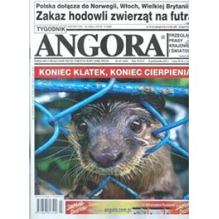 Angora nr 43/2025 Koniec klatek...