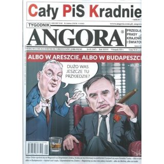 Angora nr 45/2025 - Albo w areszcie...