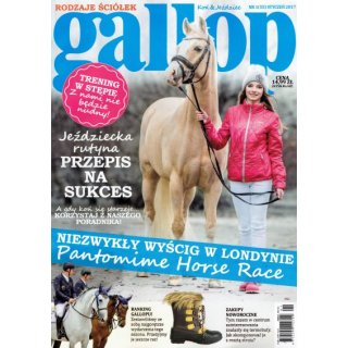 Gallop 1/2017