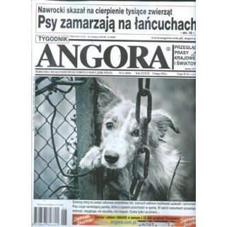 Angora nr 6/2026 - Psy zamarzają na łańcuchach