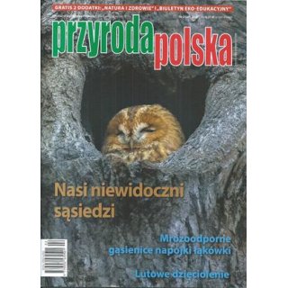 Przyroda Polska nr 2/2026 luty - Nasi niewidoczni sąsiedzi