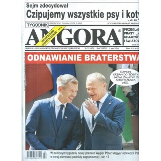 Angora nr 22/2026 - Odnawianie braterstwa