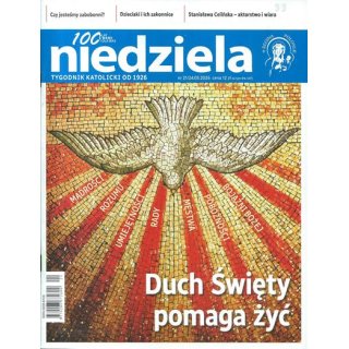 Niedziela nr 21/2026 - Duch Święty