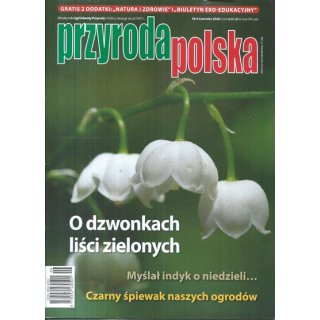 Przyroda Polska nr 6/2026 (czerwiec) - O dzwonkach...