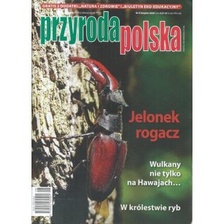 Przyroda Polska nr 8/2026 (lipiec) - Jelonek rogacz
