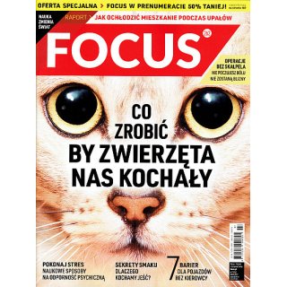Focus; 262; 7/2017