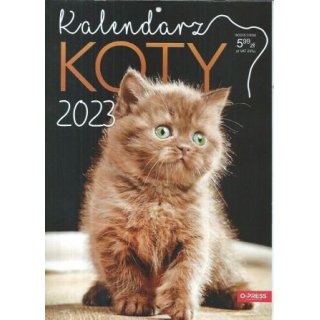 2023 Kalendarz Koty