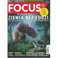 Focus; 11/2021; 313