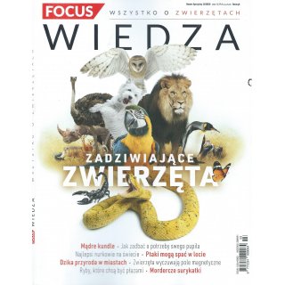 Focus Wiedza; 3/2020