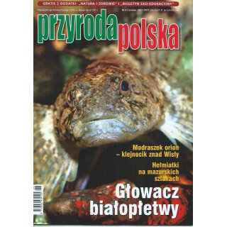 Przyroda Polska; 6/2021