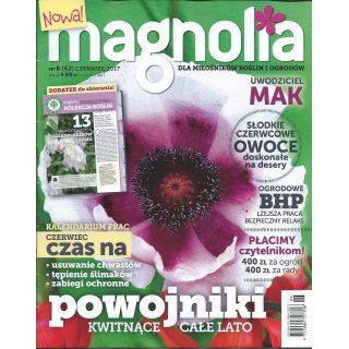 Magnolia; 6/2017