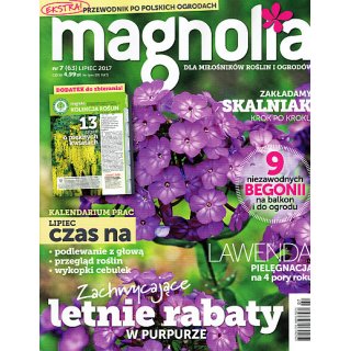 Magnolia; 7/2017; 63