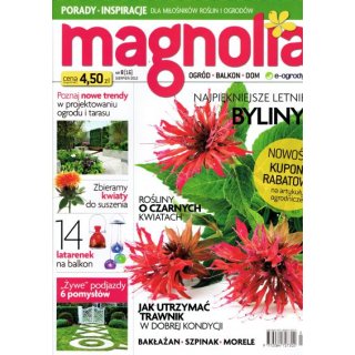 Magnolia; 8/2013