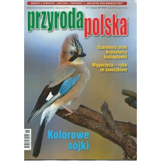 Przyroda Polska; 11/2019
